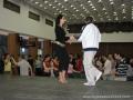 img_0066_t1.jpg