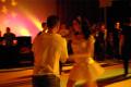 imgp0251_t1.jpg